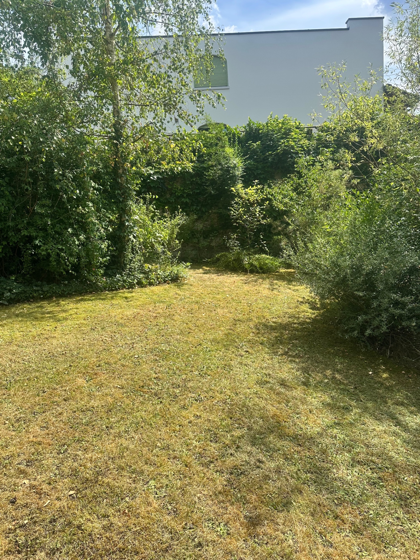 Gartenpflege – Nachher: von RFM Rubli Facility Management gepflegte Aussenanlage in Uster