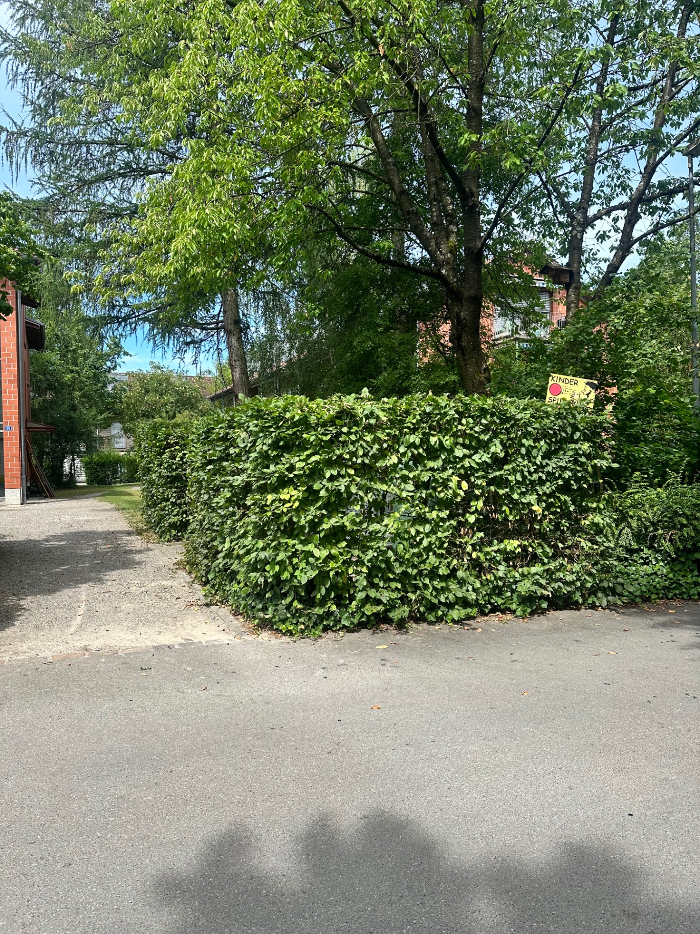 Heckenschnitt – Nachher: von RFM Rubli Facility Management gepflegte Aussenanlage in Uster