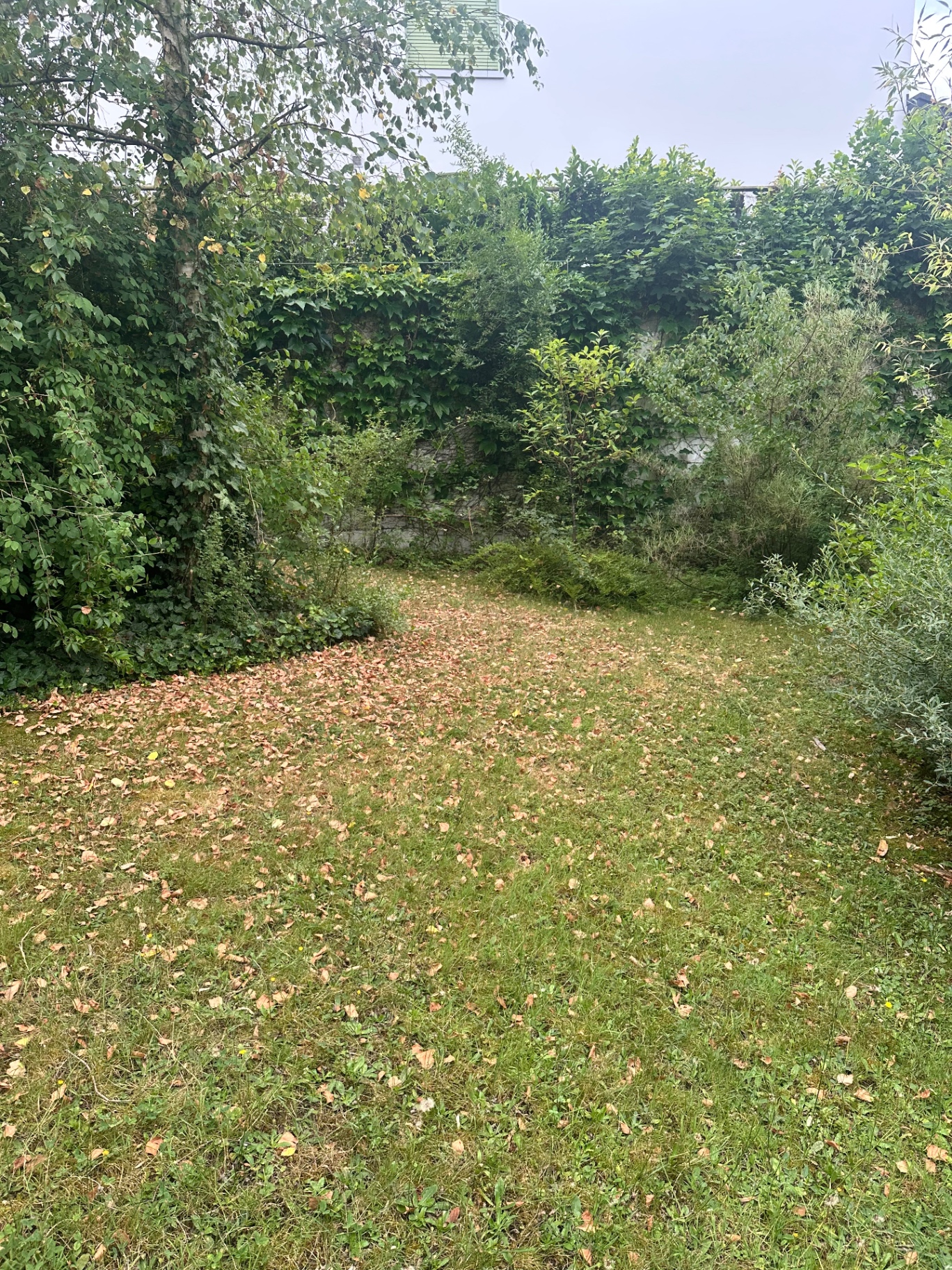 Gartenpflege – Vorher: Aussenanlage vor der Pflege durch RFM Rubli Facility Management